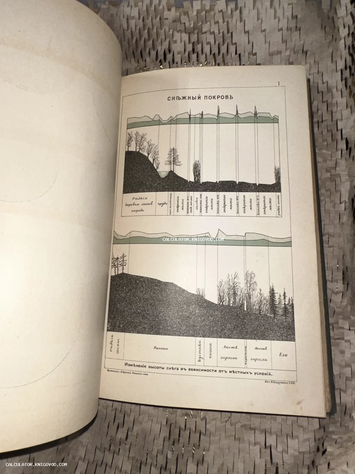 Страница из антикварной энциклопедии со схематичными графиками высоты снежного покрова в лесу и на открытой местности.