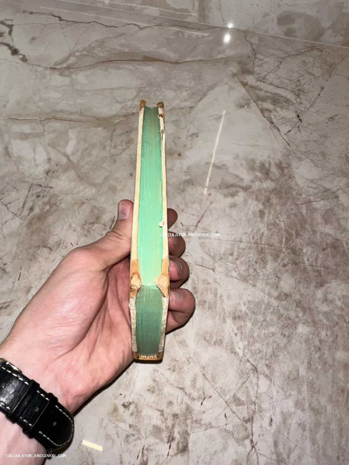 Мужская рука держит старинную книгу, демонстрируя ярко-зеленый тонированный обрез страниц на фоне мраморного пола.