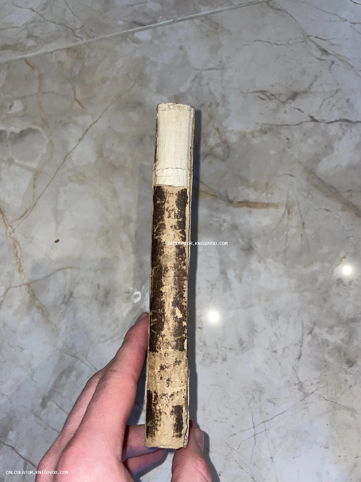 Вид сбоку на сильно потертый корешок старинной книги в руках коллекционера.