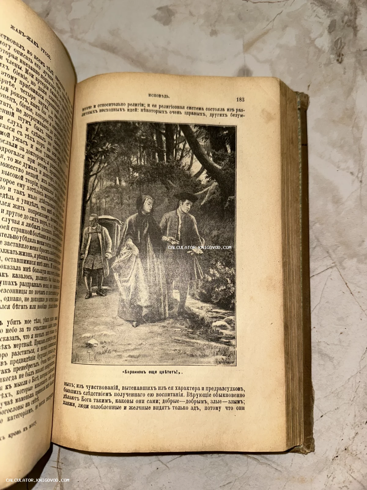 Разворот старинной книги с книжной иллюстрацией, изображающей прогулку пары в парке, и текстом на дореволюционном русском языке.