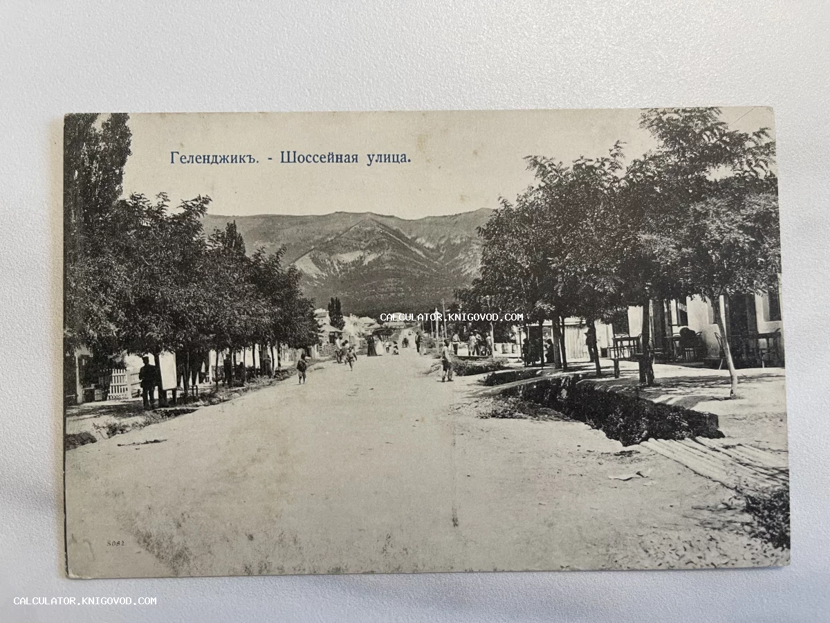 Черно-белая дореволюционная открытка с видом на Шоссейную улицу в Геленджике, на заднем плане горы, вдоль дороги растут деревья и стоят люди.