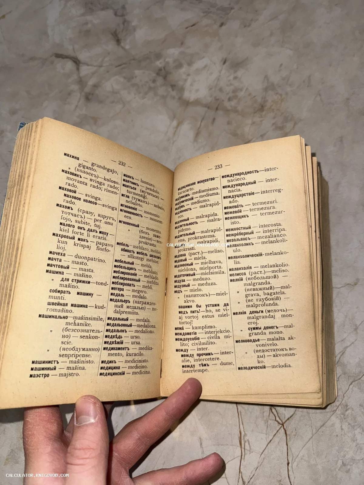 Открытая старинная книга, русско-эсперанто словарь с пожелтевшими страницами и дореволюционной орфографией.