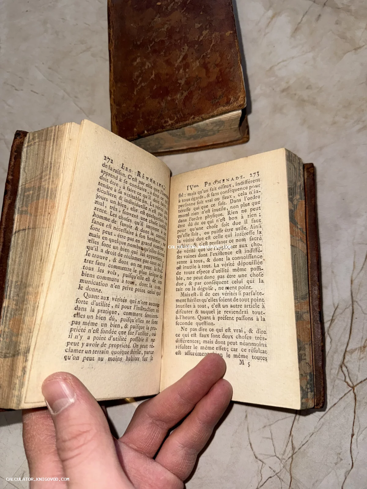 Раскрытая старинная книга на французском языке с пожелтевшими страницами и узорчатым обрезом.