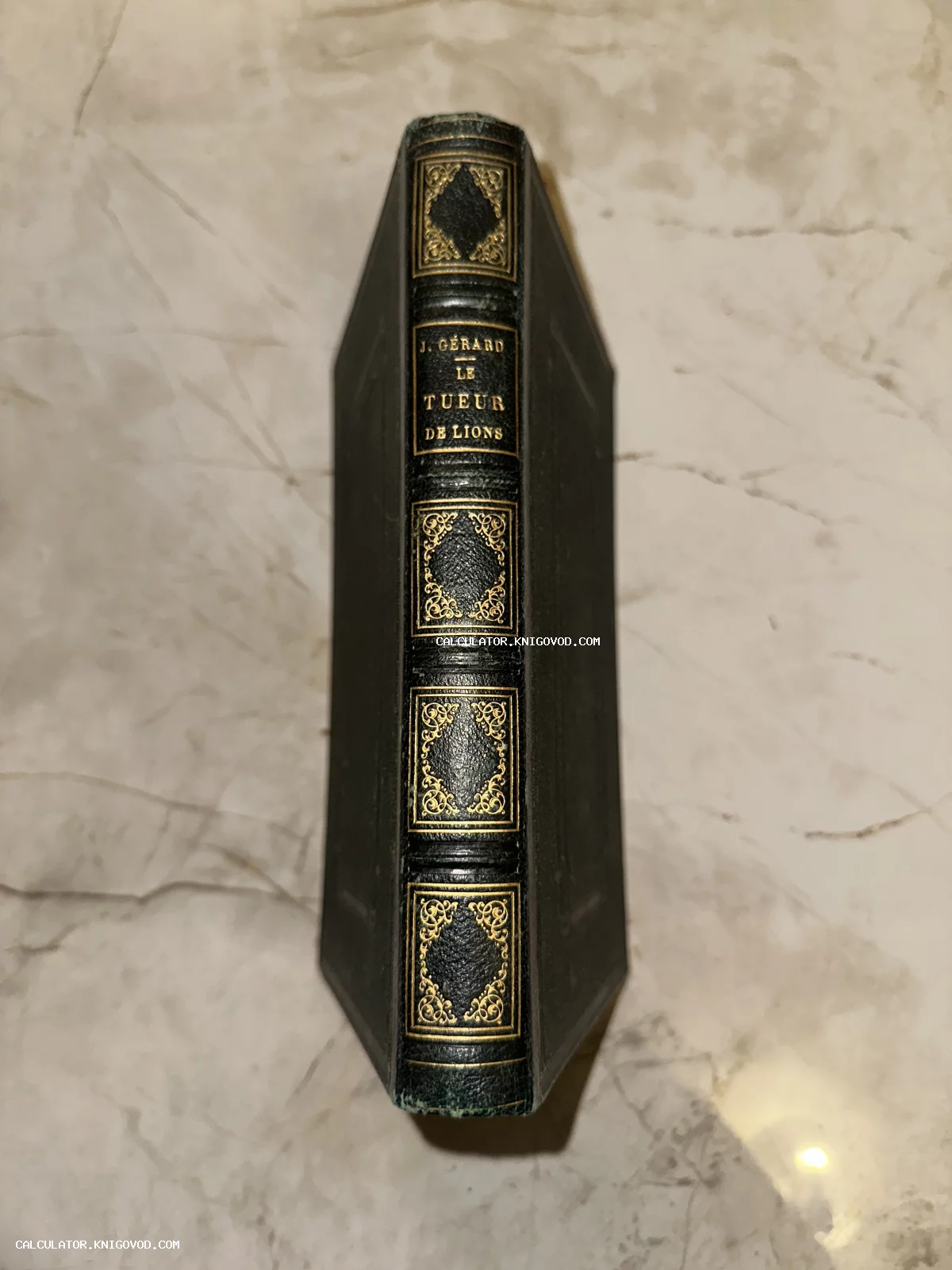 Корешок антикварной книги в кожаном переплете с золотым тиснением и надписью J. Gérard Le Tueur de Lions на мраморном фоне.