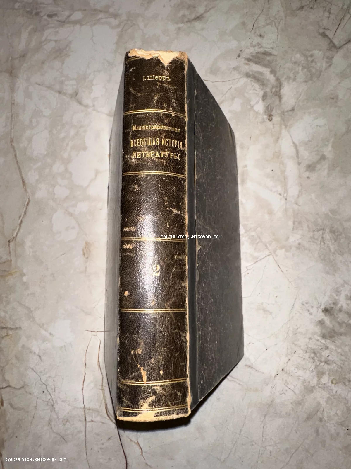 Корешок антикварной книги И. Шерра с золотым тиснением на кожаном переплете.