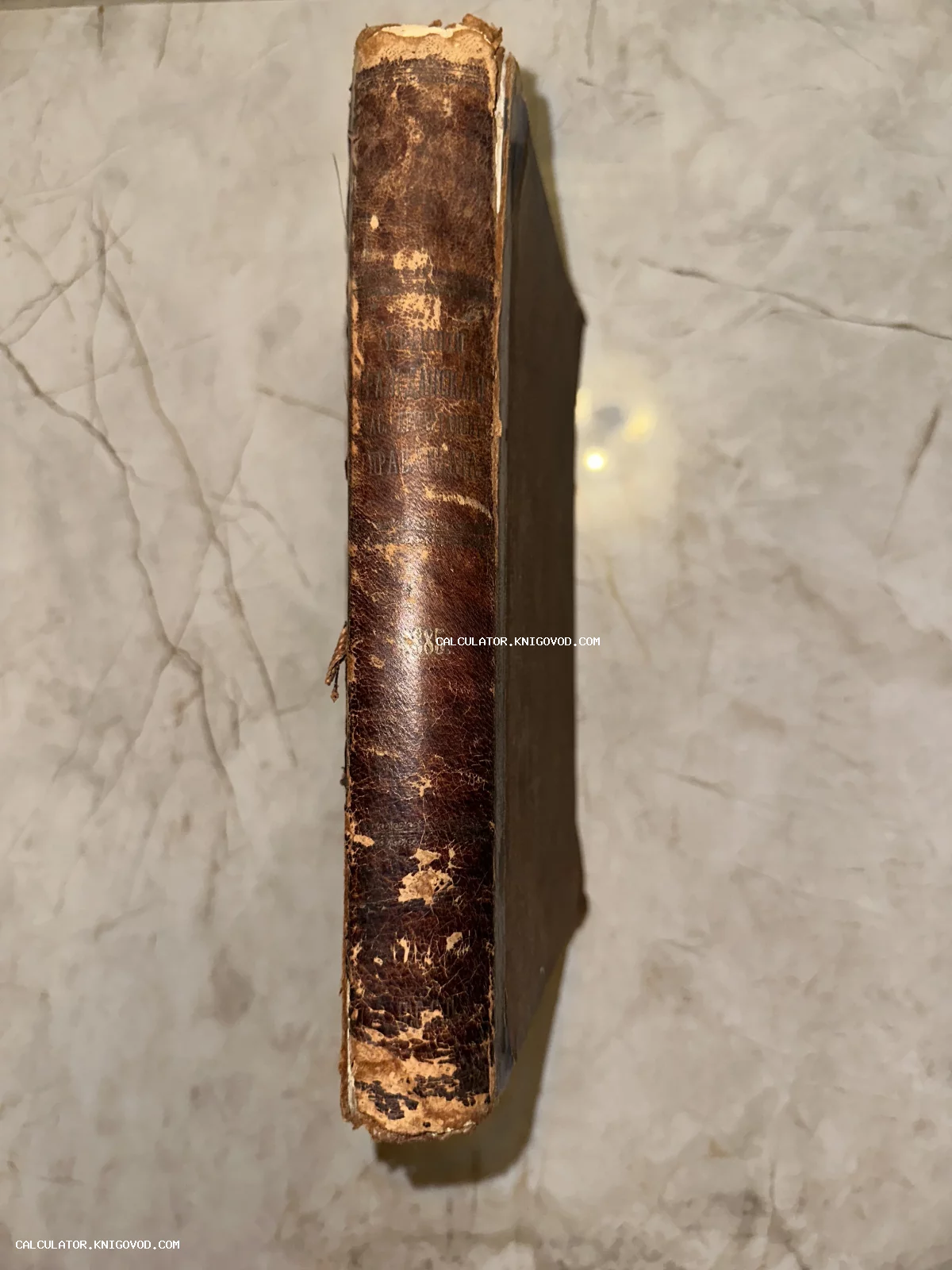 Корешок антикварной книги 1885 года из потертой коричневой кожи