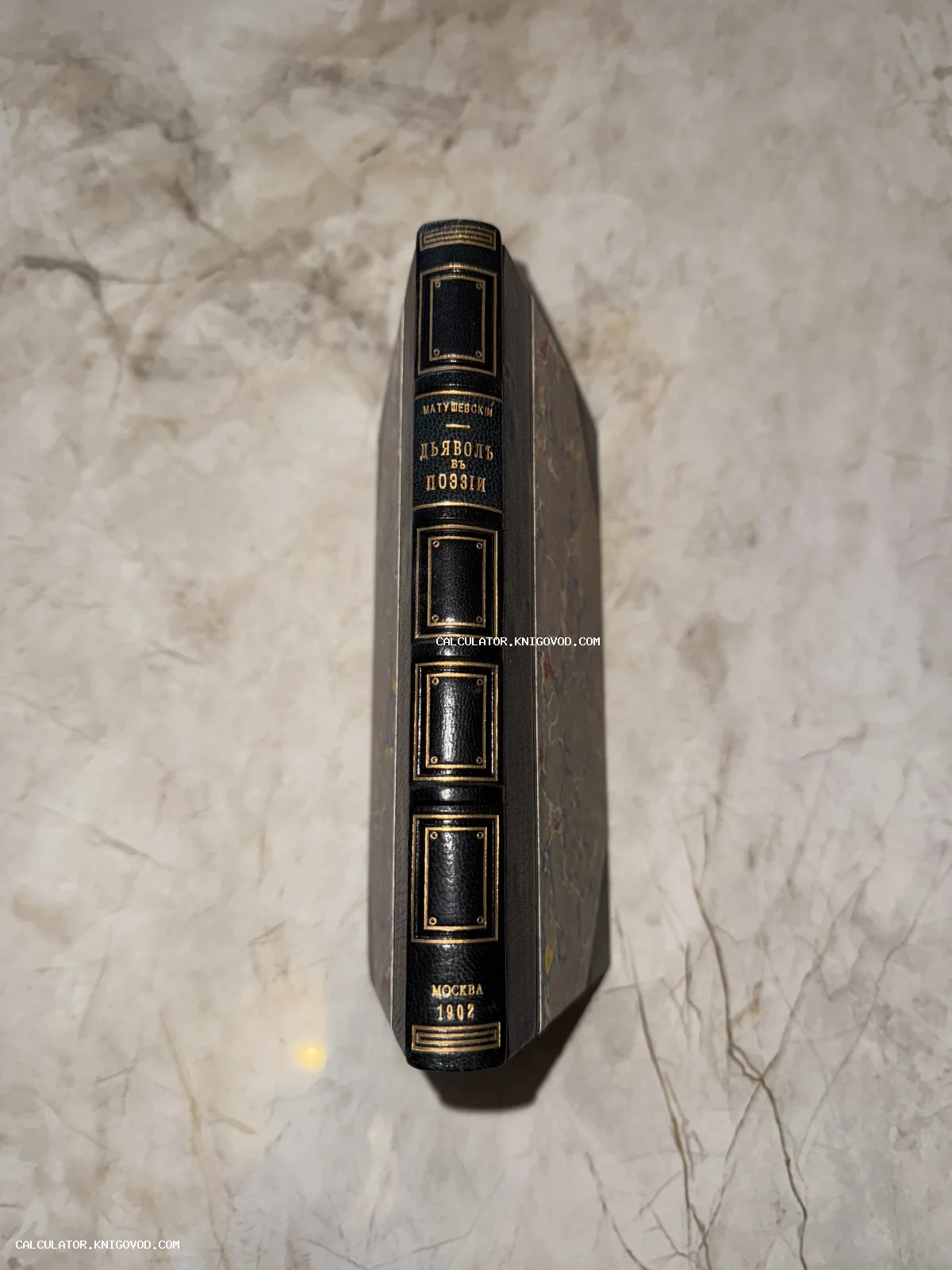 Корешок антикварной книги Игнатия Матушевского «Дьявол в поэзии» в черном переплете с золотым тиснением, изданной в Москве в 1902 году.