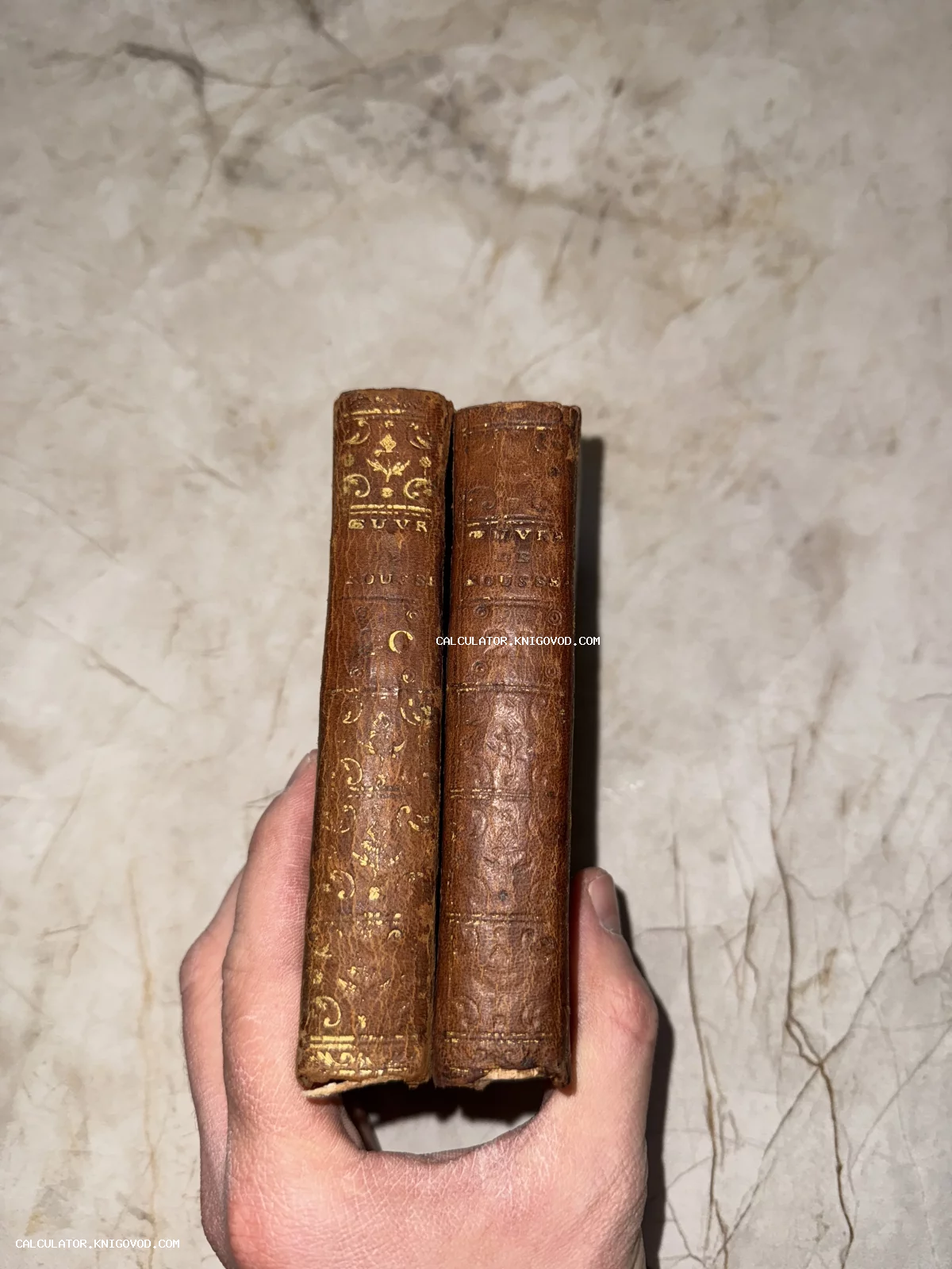 Два тома антикварных книг Жан-Жака Руссо в коричневом кожаном переплете с золотым тиснением на корешках.