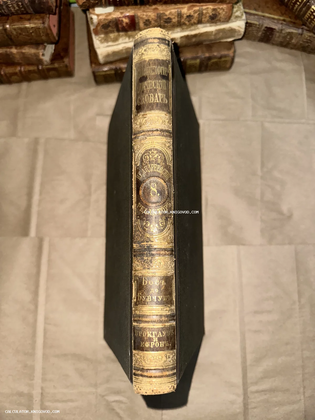 Вид сверху на корешок антикварной книги Энциклопедический словарь Брокгауза и Ефрона с золотым тиснением.