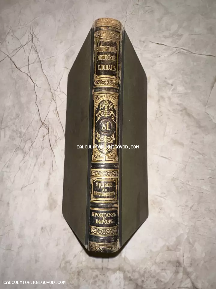 Корешок антикварной книги Энциклопедический словарь Брокгауза и Ефрона, том 81, с золотым тиснением на темной коже.