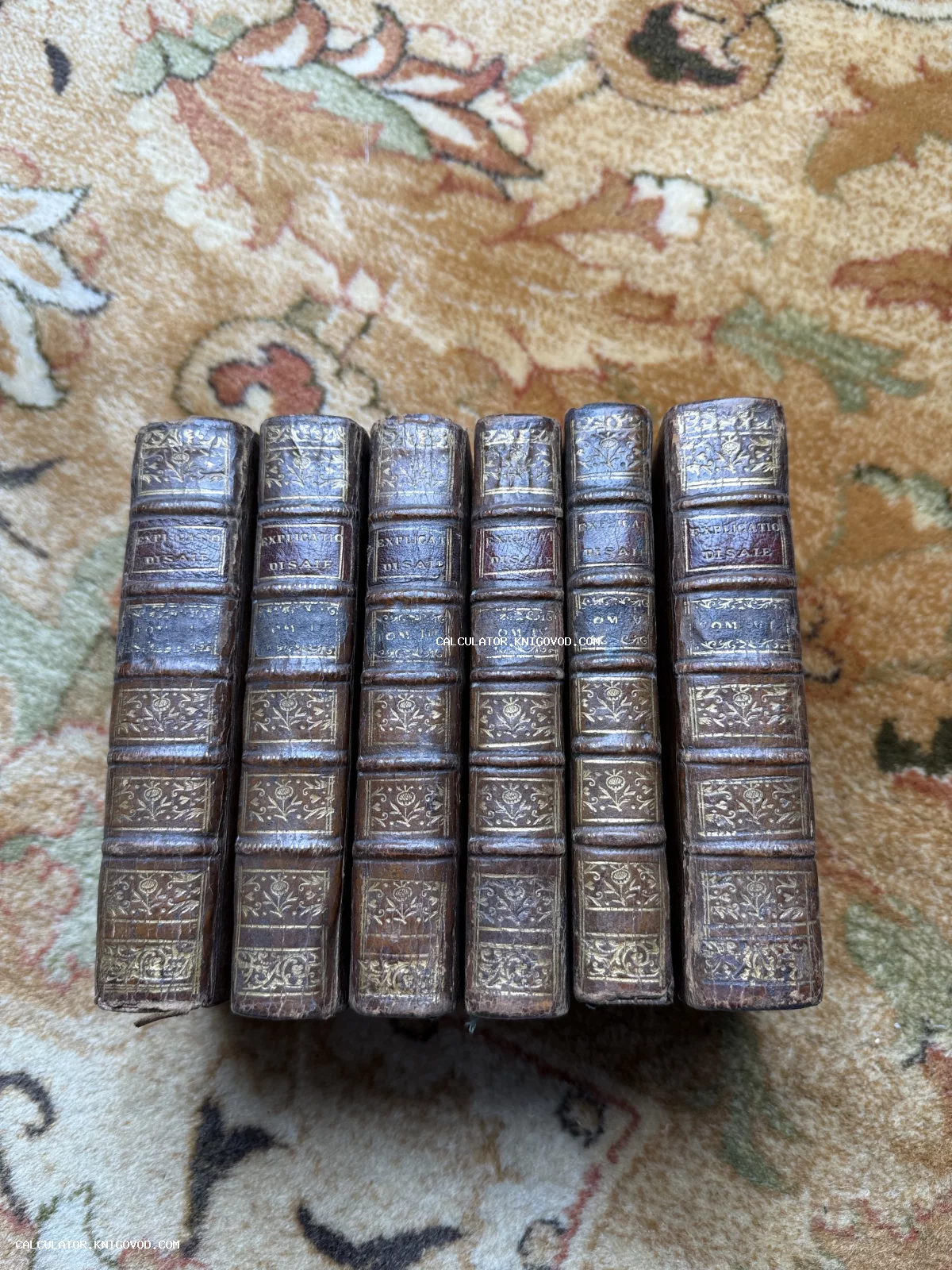 Шесть старинных книг в коричневых кожаных переплетах с золотым тиснением на корешках, расположенных в ряд на узорчатом ковре.
