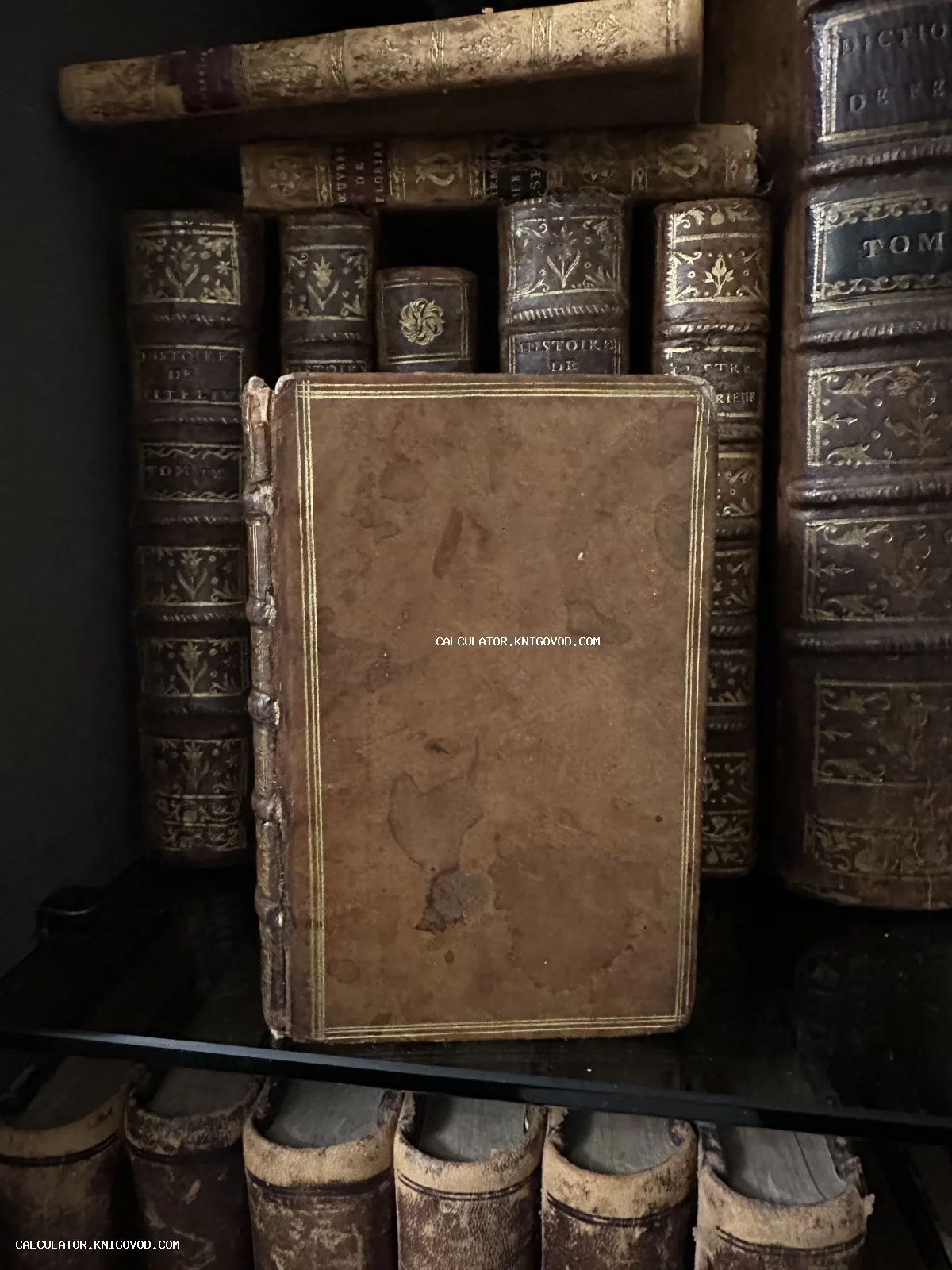 Антикварная книга в коричневой кожаной обложке с золотой рамкой на фоне книжной полки со старыми томами.