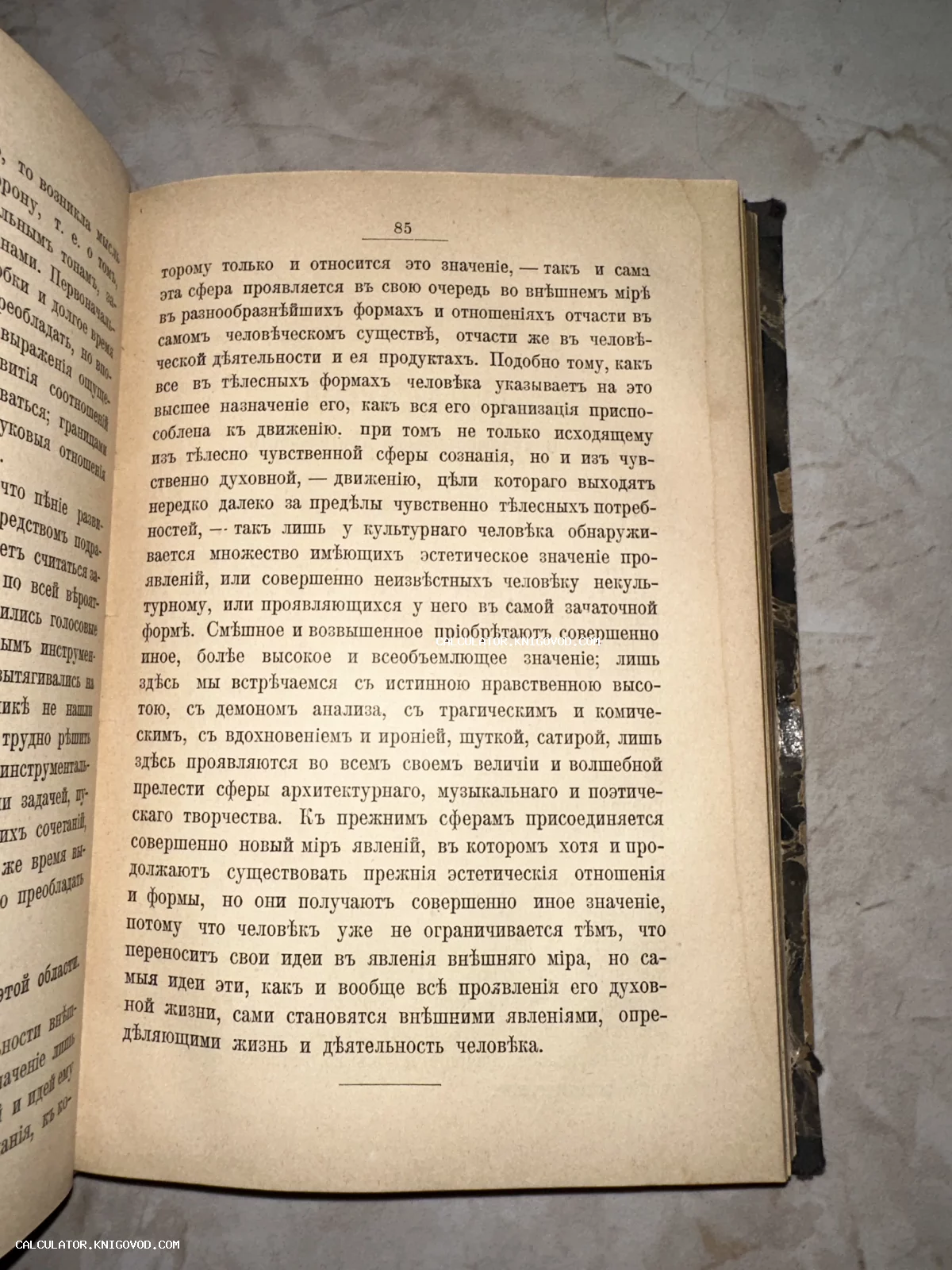 Открытая страница антикварной книги с текстом на дореволюционном русском языке, страница номер 85.