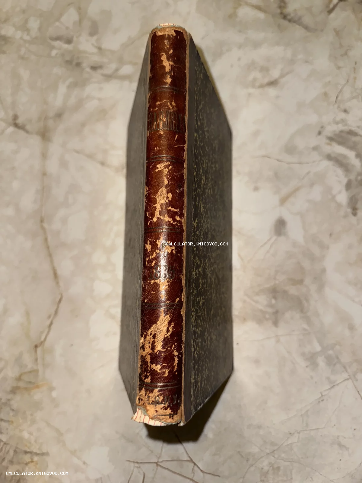 Корешок старинной книги из коричневой кожи с потертостями и золотым тиснением на мраморном фоне.