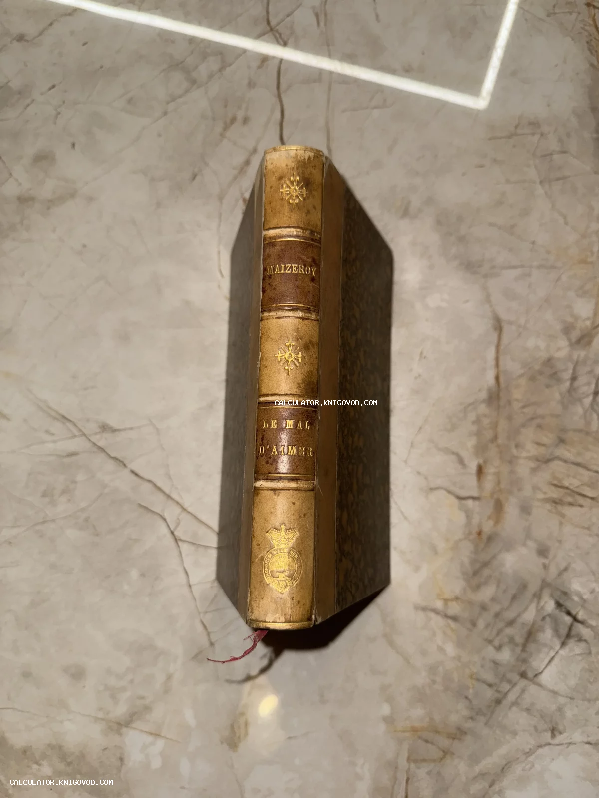Корешок антикварной книги с золотым тиснением, надписью Maizeroy Le Mal d'Aimer и геральдическим гербом.