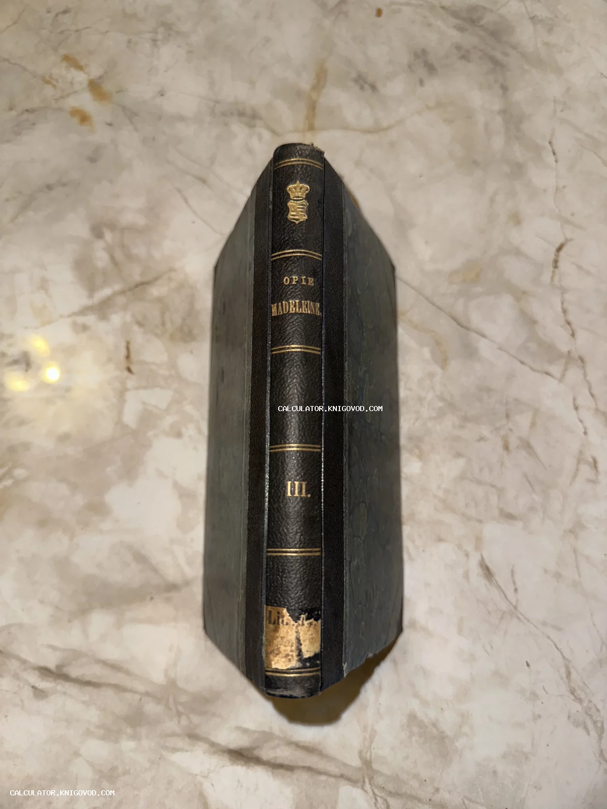 Корешок старинной книги в кожаном переплете с золотым тиснением и надписью Opie Madeleine III на фоне мраморной поверхности.