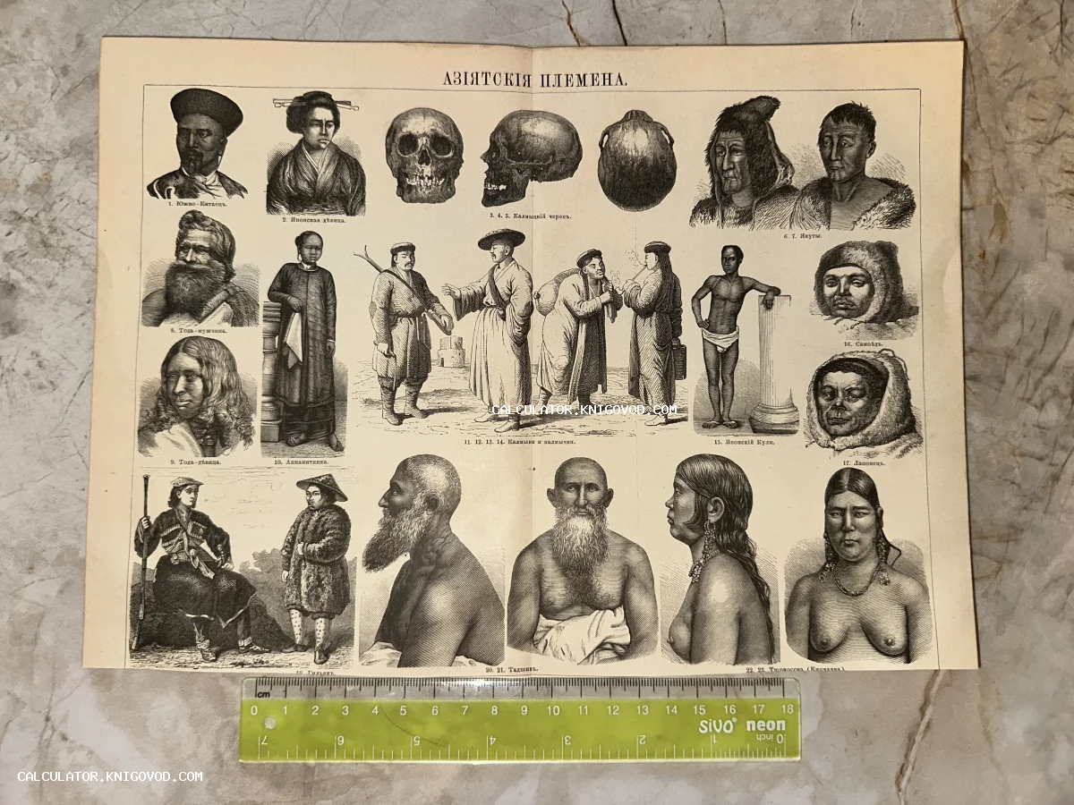 Старинная черно-белая гравюра с портретами представителей различных азиатских народов, национальными костюмами и анатомическими рисунками черепов.