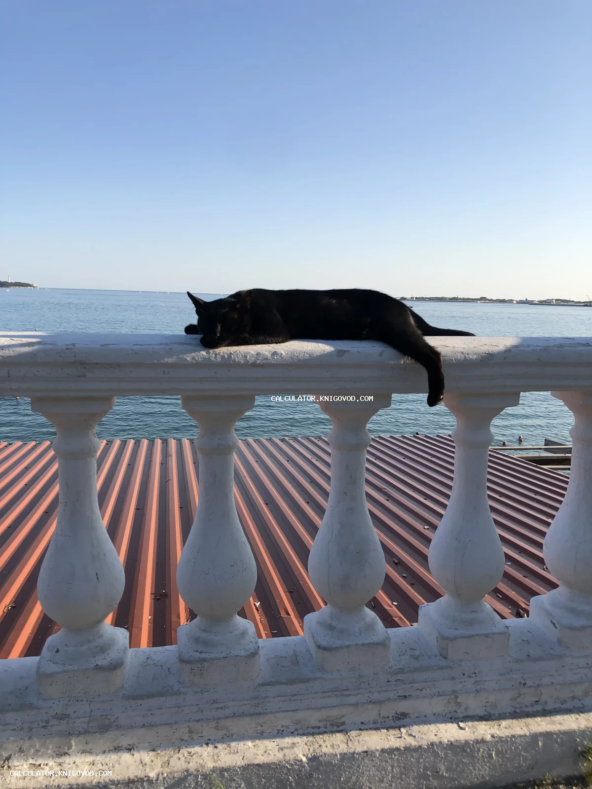 Черный кот растянулся на белой классической балюстраде на фоне синего моря и чистого неба.