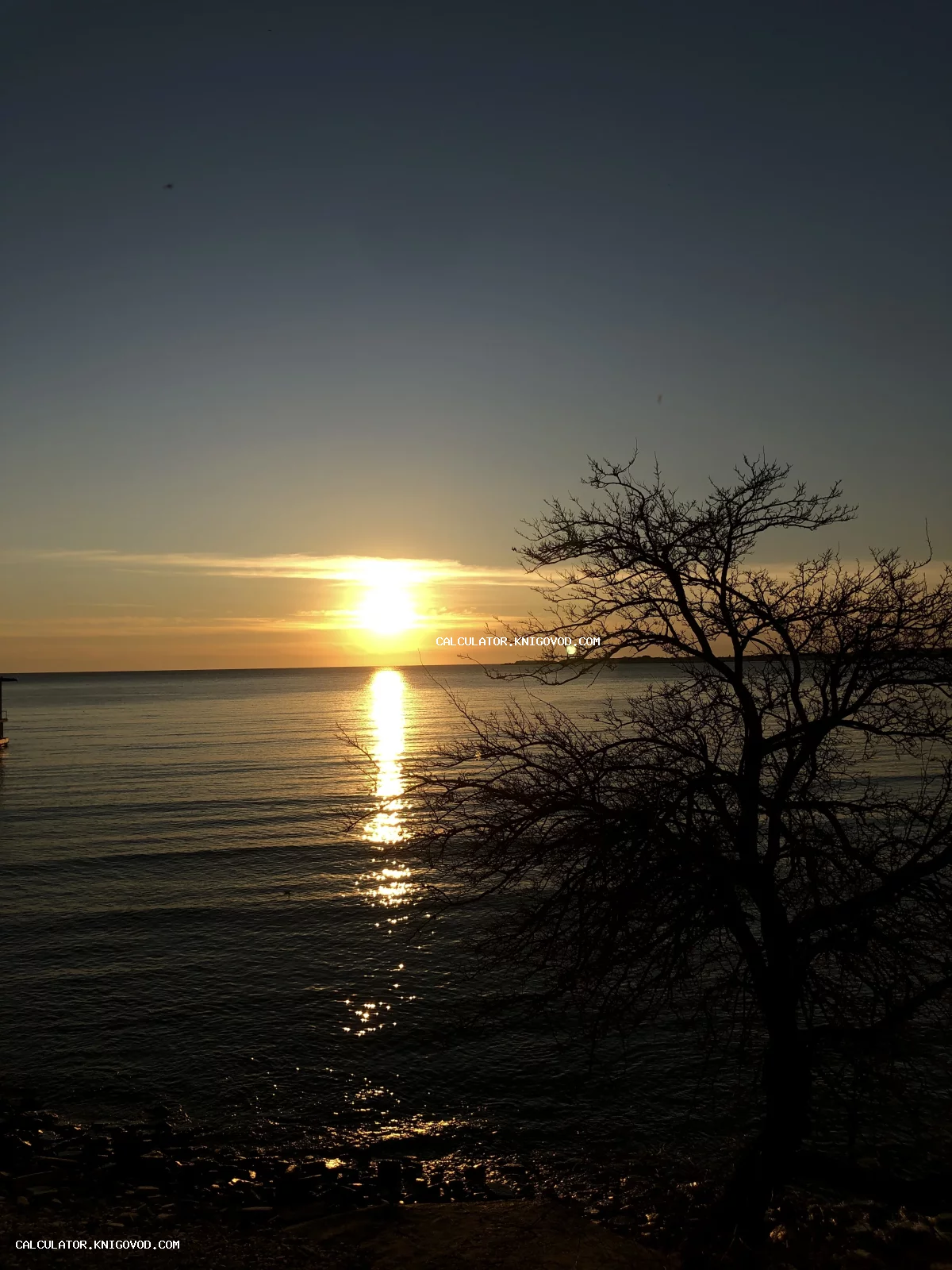 Пейзажная фотография заката над морем с силуэтом дерева на переднем плане и яркой солнечной дорожкой на воде.