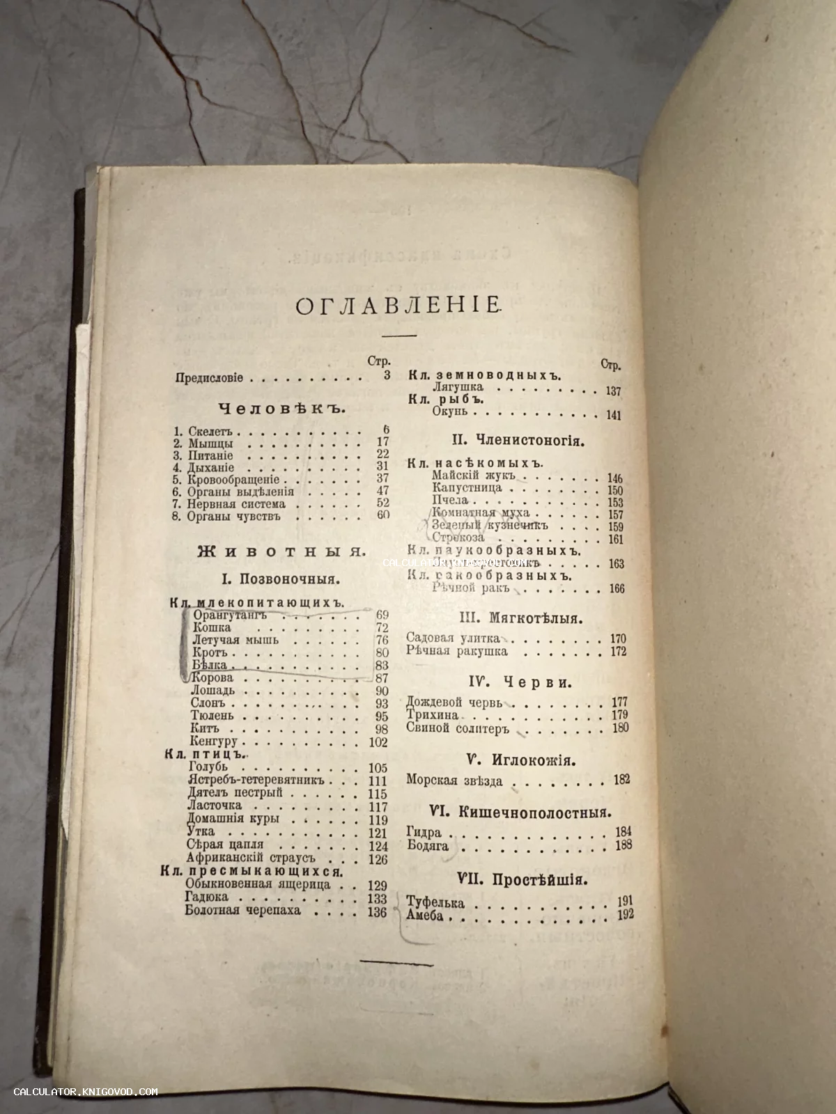 Фотография страницы оглавления старинной книги с дореволюционной орфографией, перечисляющей разделы о человеке и животных.