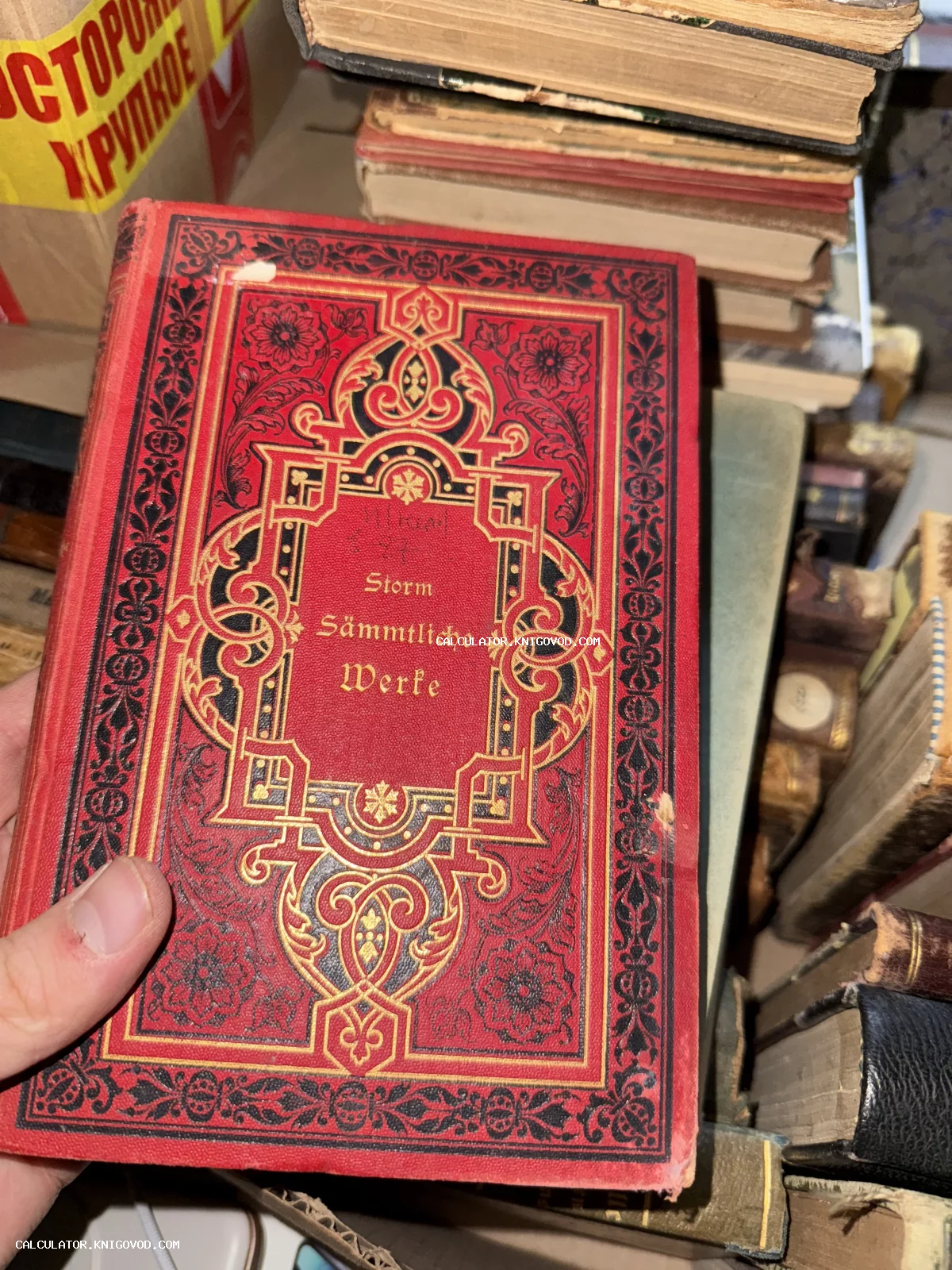 Старинная книга в красном коленкоровом переплете с богатым золотым и черным орнаментальным тиснением, автор Теодор Шторм.