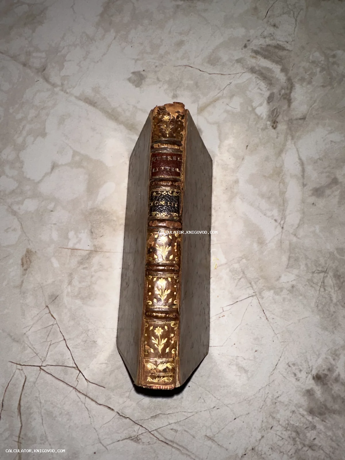 Корешок антикварной книги в кожаном переплете с богатым золотым растительным орнаментом и бинтами.