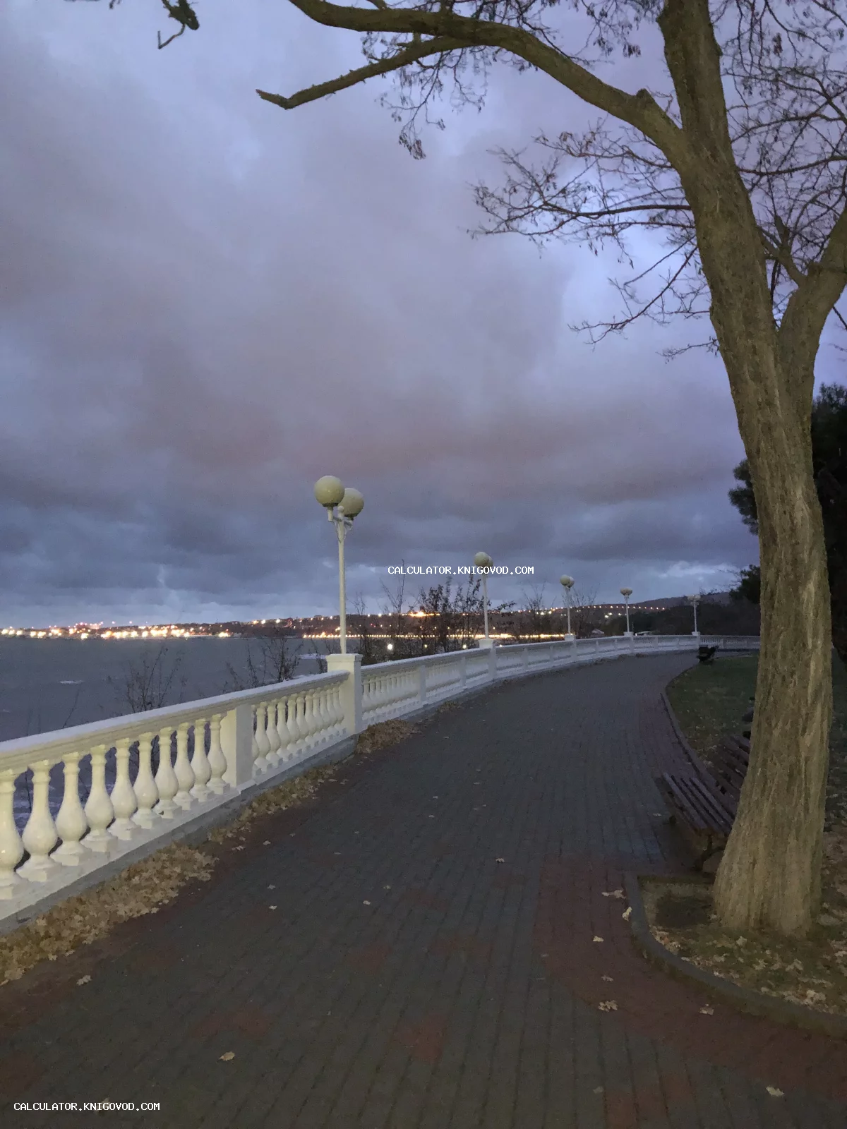 Фотография набережной с классической белой балюстрадой, шарообразными фонарями и видом на море под пасмурным фиолетовым небом в сумерках.