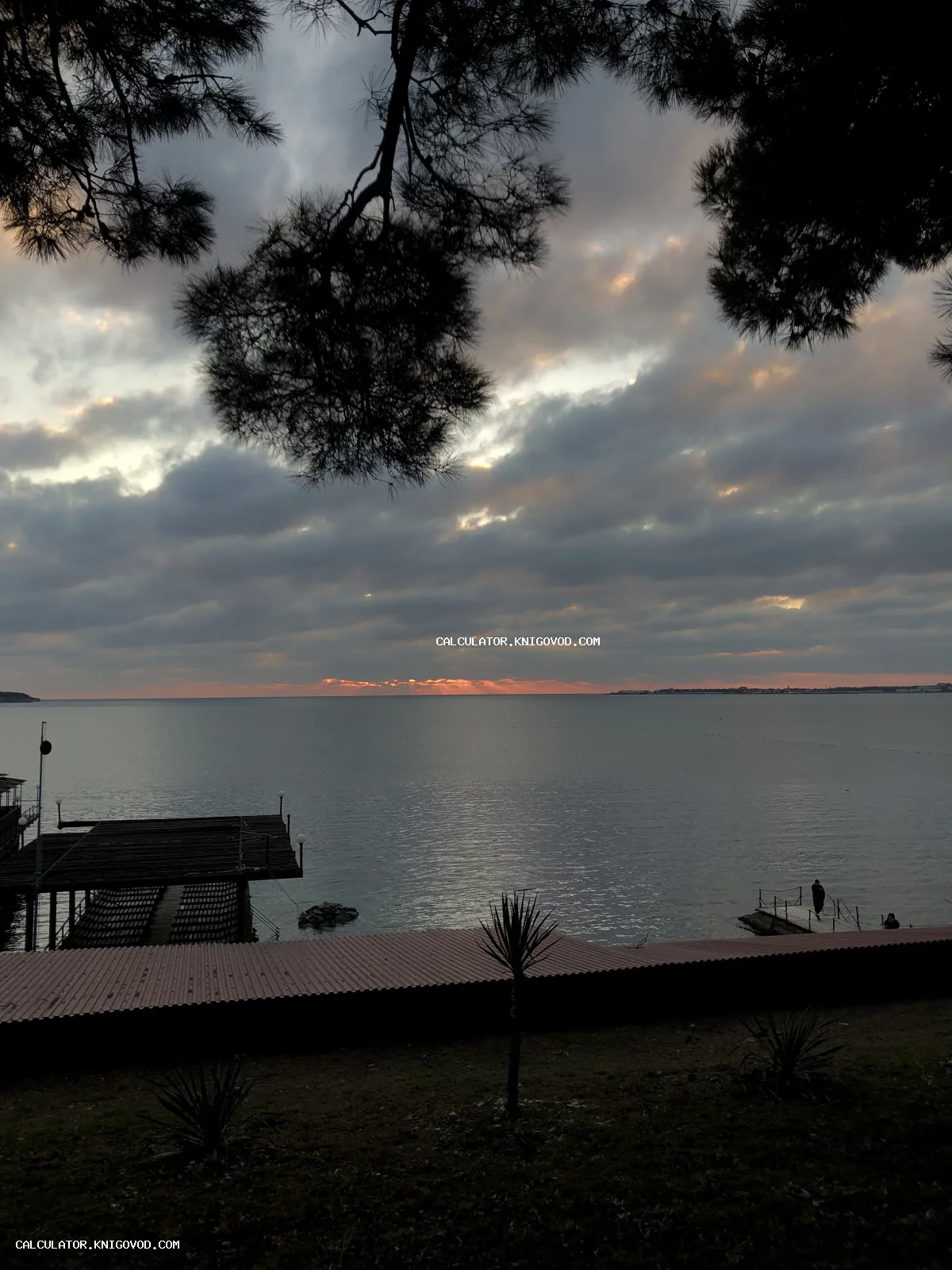 Вид на спокойное море в сумерках сквозь ветви сосны. На переднем плане силуэт пирса и крыши на фоне облачного неба с проблесками заката.