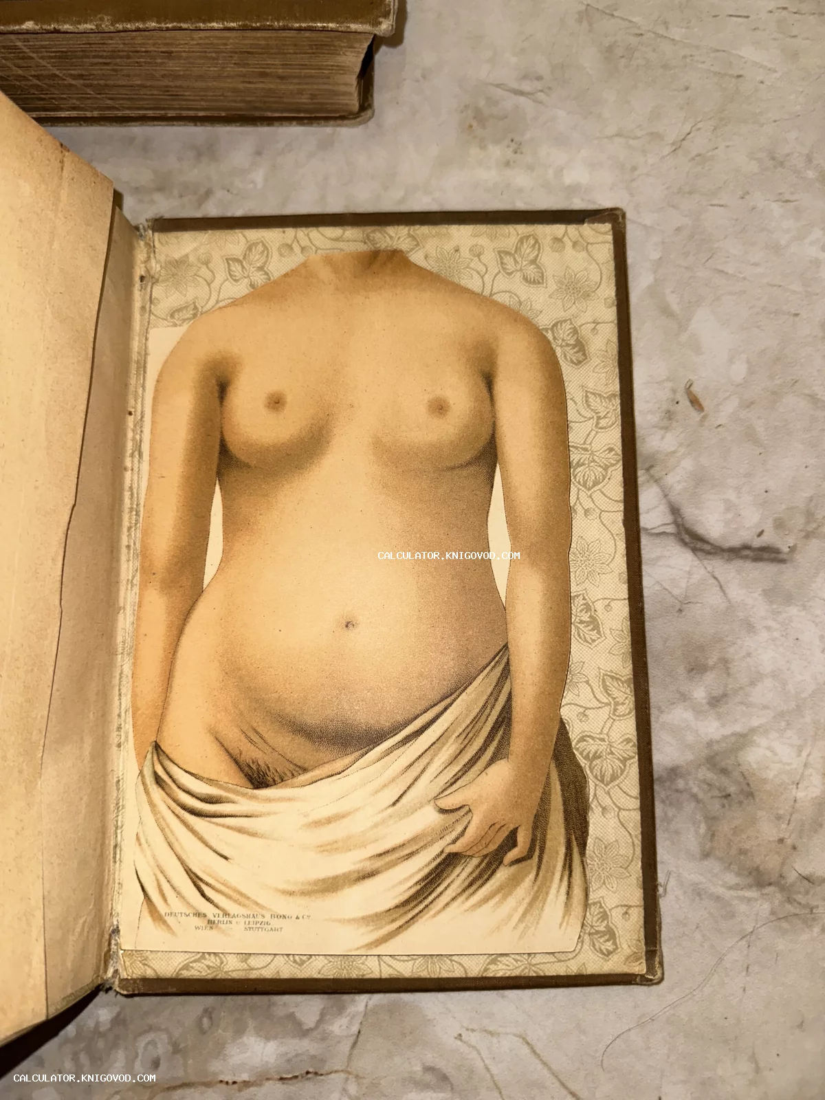 Литография с изображением женского тела в раскрытой антикварной книге издательства Bong & Co.