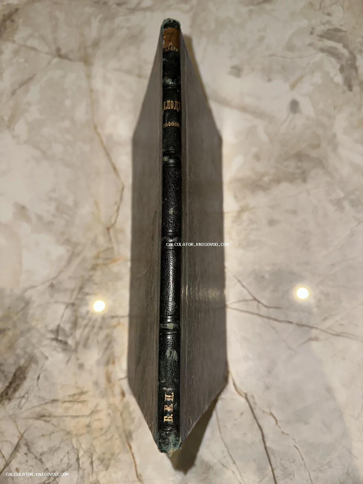 Корешок старинной книги Льва Толстого «Плоды просвещения» с золотым тиснением на темной коже.