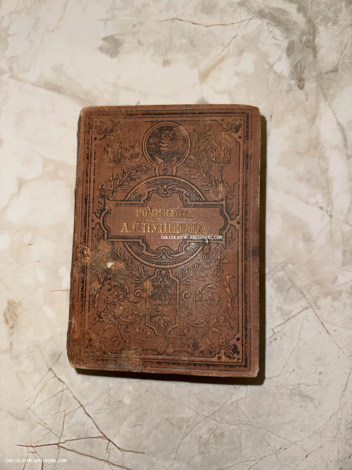 Старинная книга в коричневом переплете с тиснением, заголовок «Сочинения А. С. Пушкина» на обложке с растительным орнаментом и медальоном.