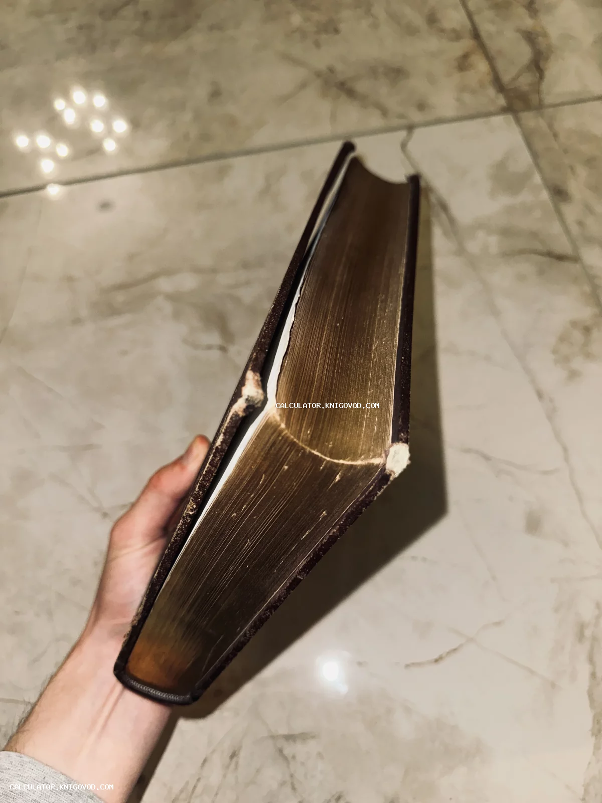 Крупный план старинной книги с позолоченными торцами страниц в руке коллекционера.