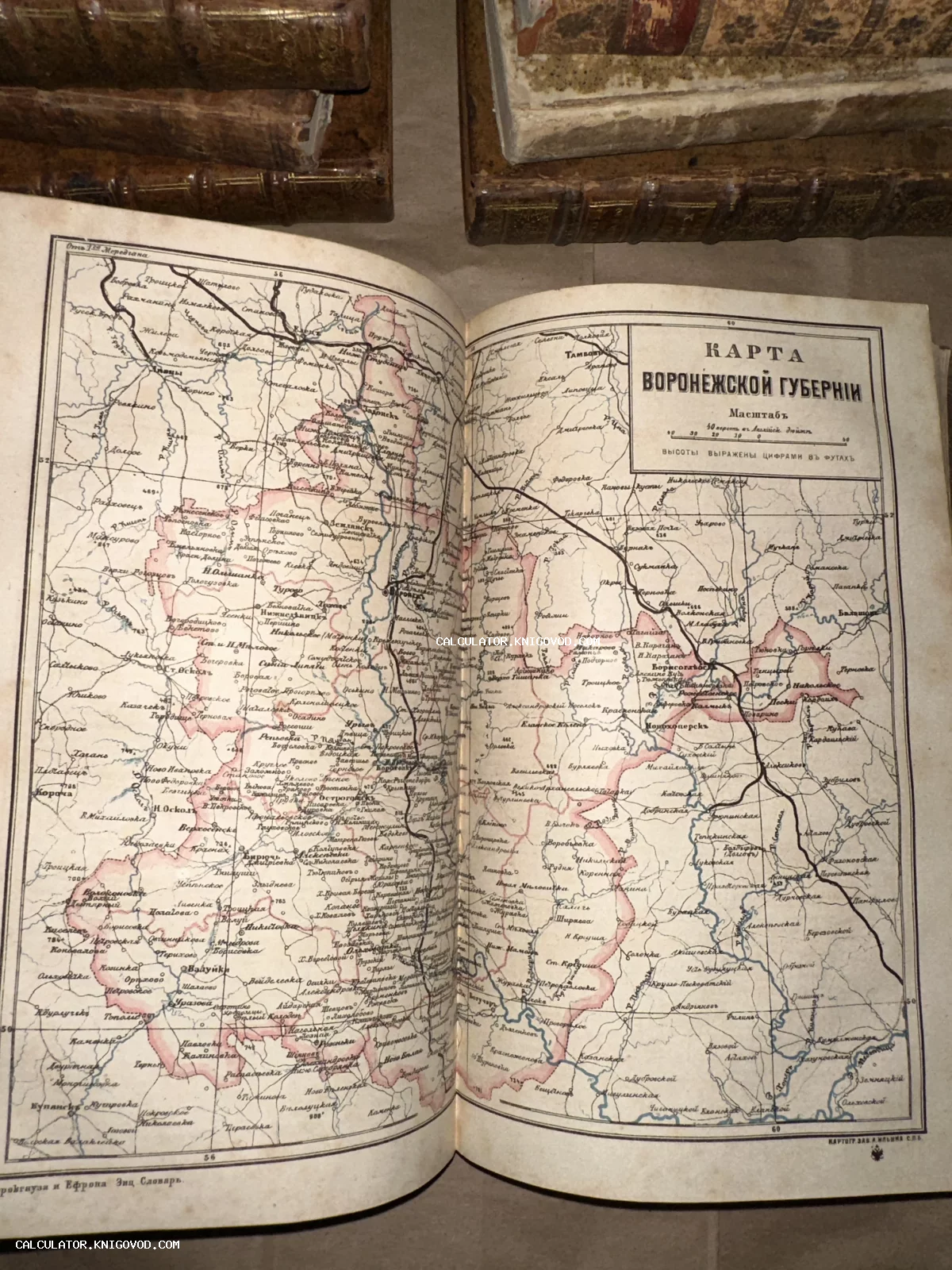 Старинная печатная карта Воронежской губернии с указанием городов, рек и границ на развороте антикварной книги.