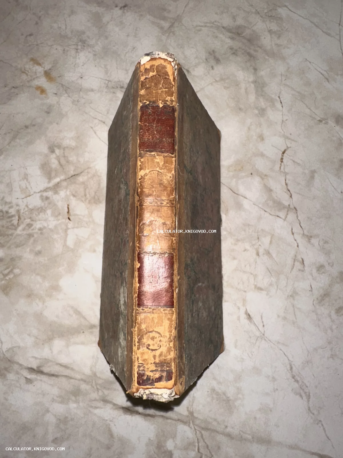 Корешок старинной толстой книги в кожаном переплете с золотым тиснением и бордовыми этикетками на светлом фоне.