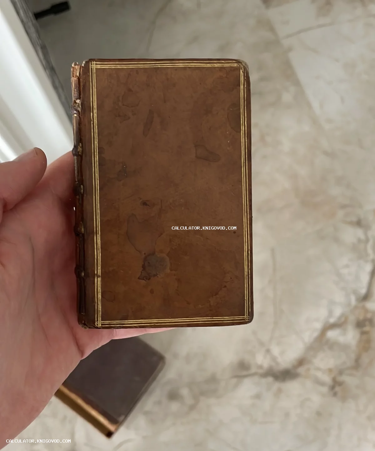 Малоформатная антикварная книга в коричневом кожаном переплете с золотой рамкой и бинтовым корешком.