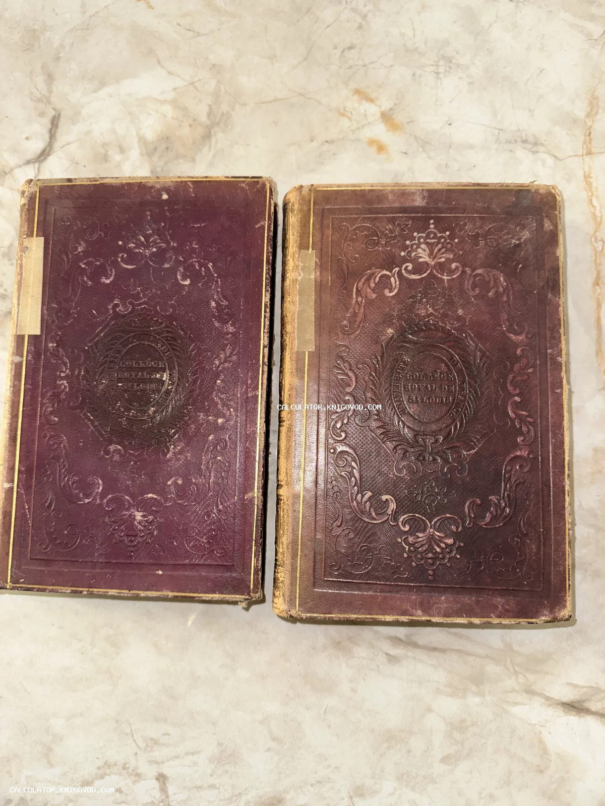 Две старинные книги в темно-бордовых кожаных переплетах с богатым рельефным тиснением и золотой каймой.