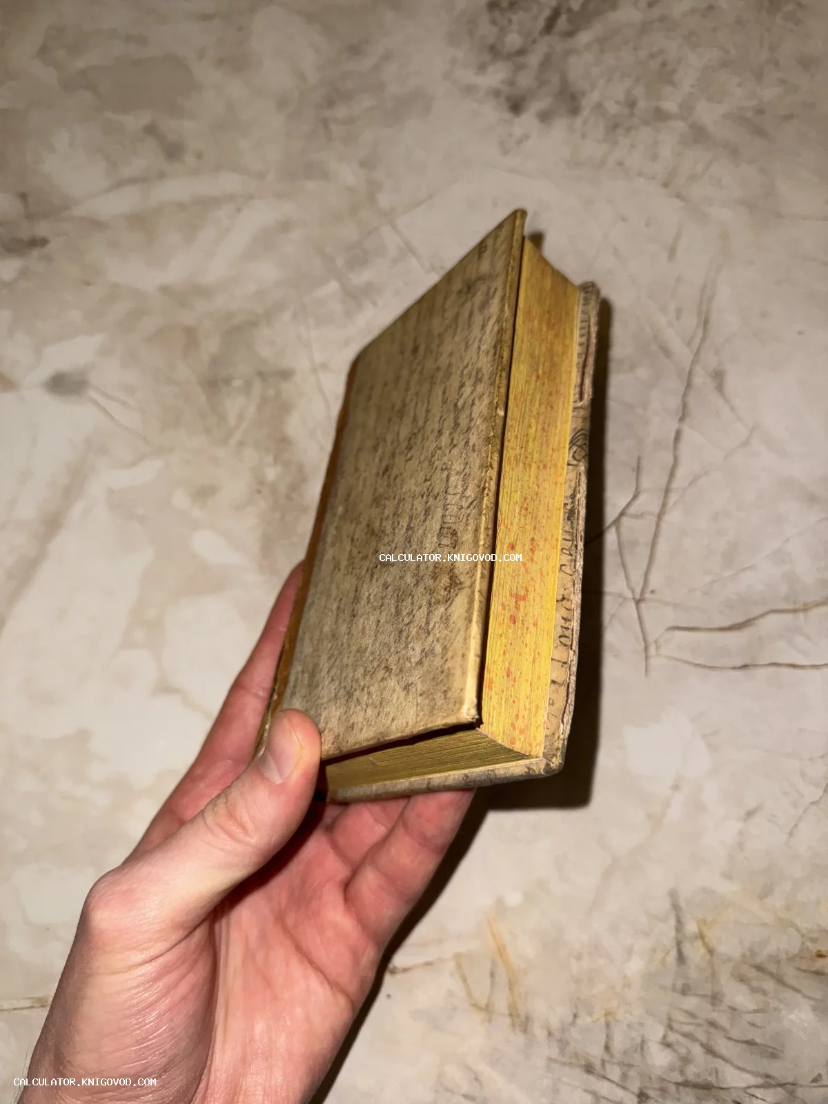 Старинная миниатюрная книга с пожелтевшим крапчатым обрезом в руке коллекционера.