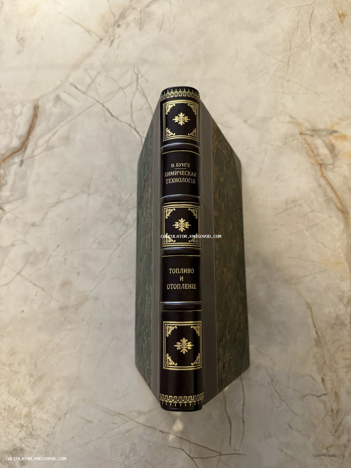 Корешок антикварной книги Н. Бунге «Химическая технология» в темно-коричневом кожаном переплете с золотым тиснением.