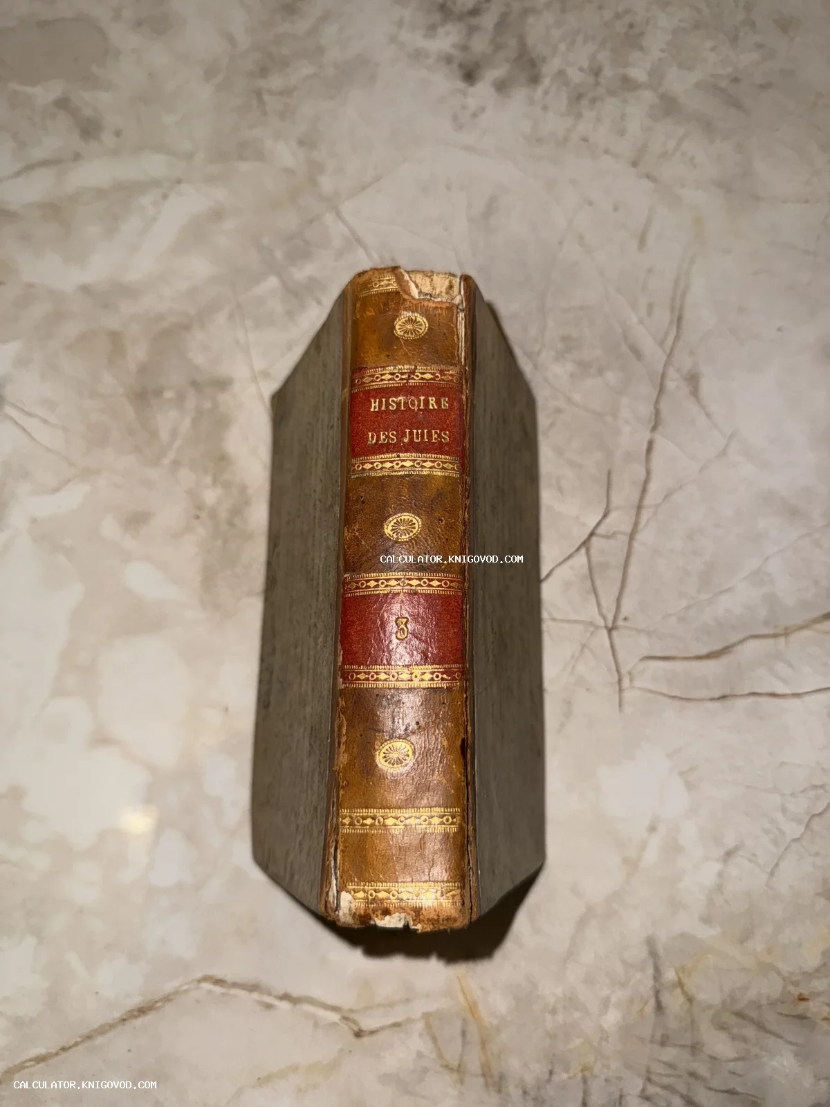 Корешок антикварной книги Histoire des Juifs с золотым тиснением и красной кожаной вставкой на мраморном фоне.