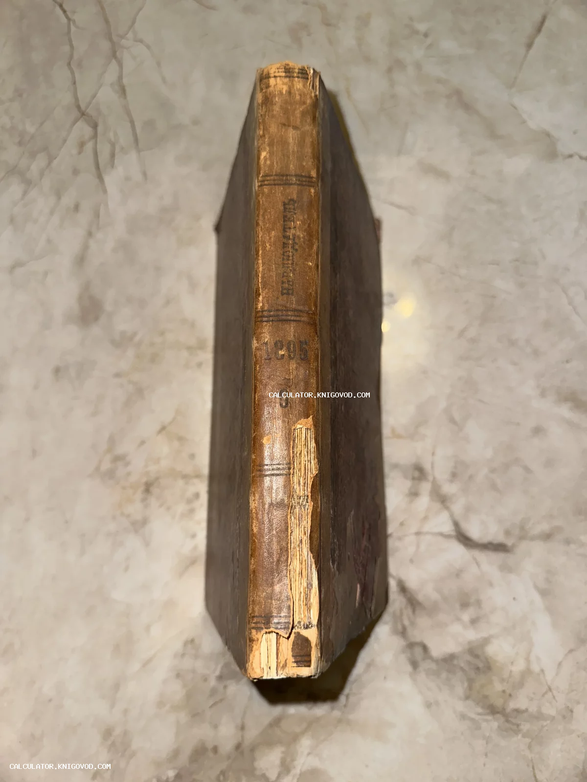 Корешок старинной книги с тиснением Наблюдатель 1895 года на мраморной поверхности.