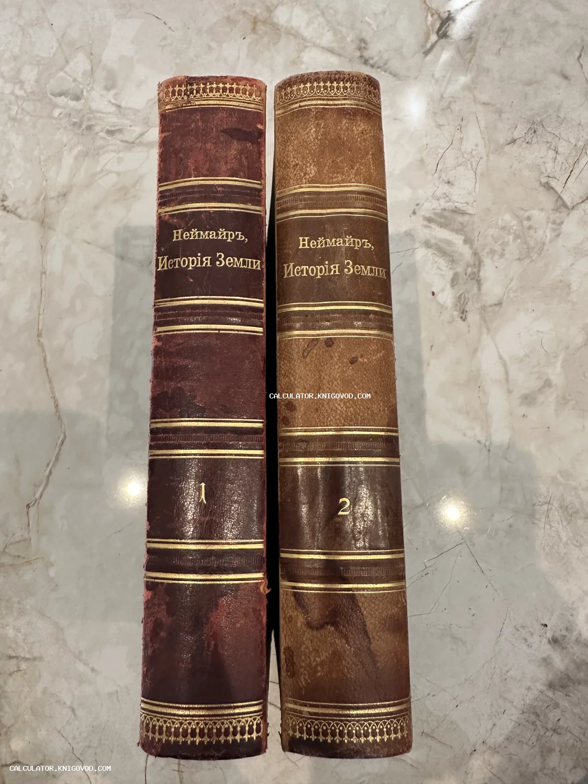 Корешки двух антикварных книг Мельхиора Неймайра «История Земли» в кожаных переплетах с золотым тиснением на мраморном фоне.
