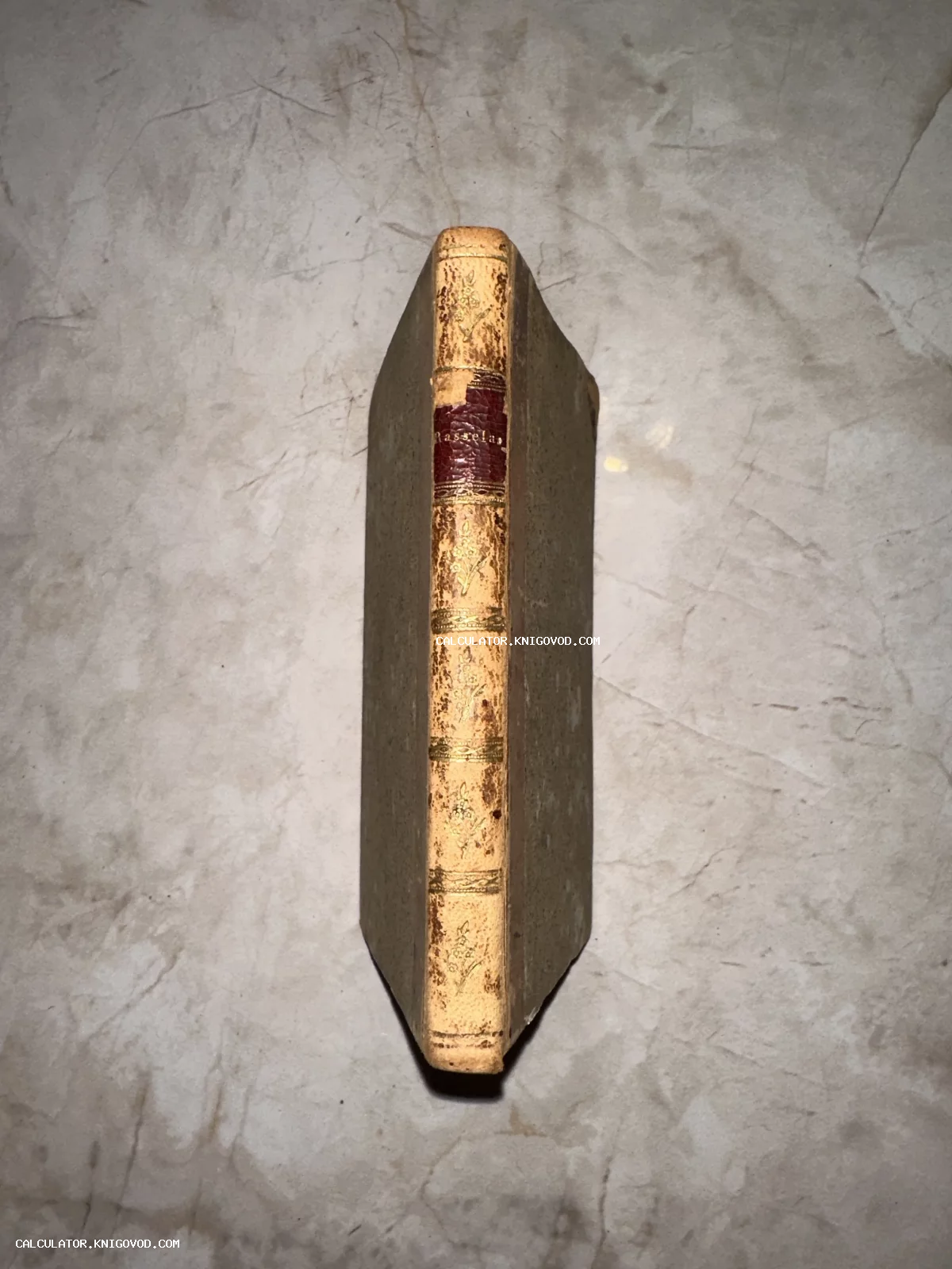 Корешок старинной книги с золотым тиснением и кожаной вставкой с надписью Rasselas на мраморном фоне.