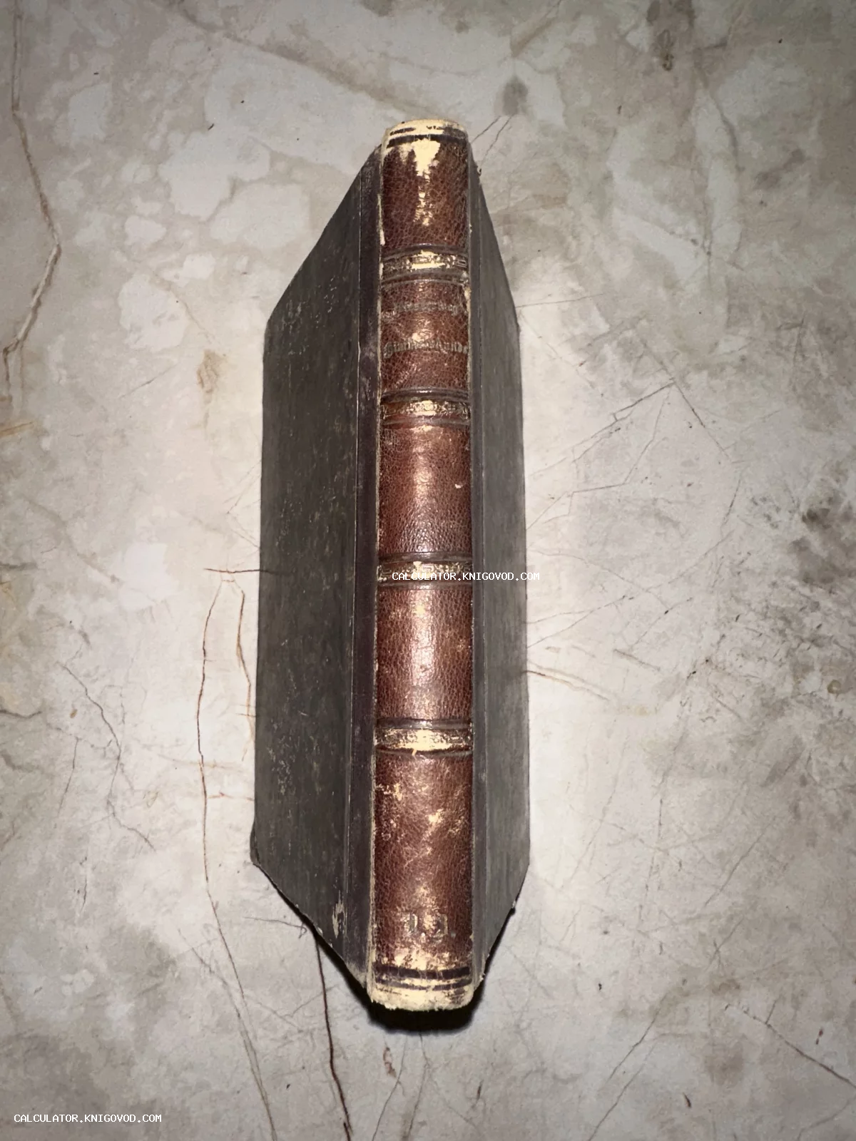 Вид сверху на корешок антикварной книги в кожаном переплете с декоративным золотым тиснением.