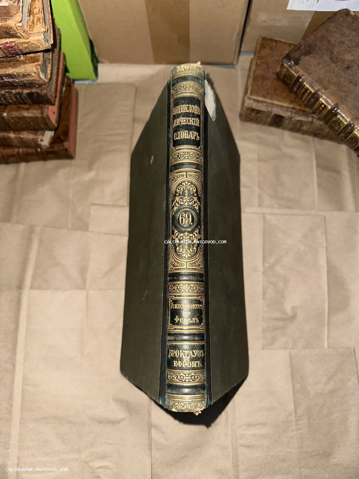 Корешок антикварной книги в кожаном переплете с золотым тиснением 'Энциклопедический словарь Брокгауза и Ефрона', том 69.