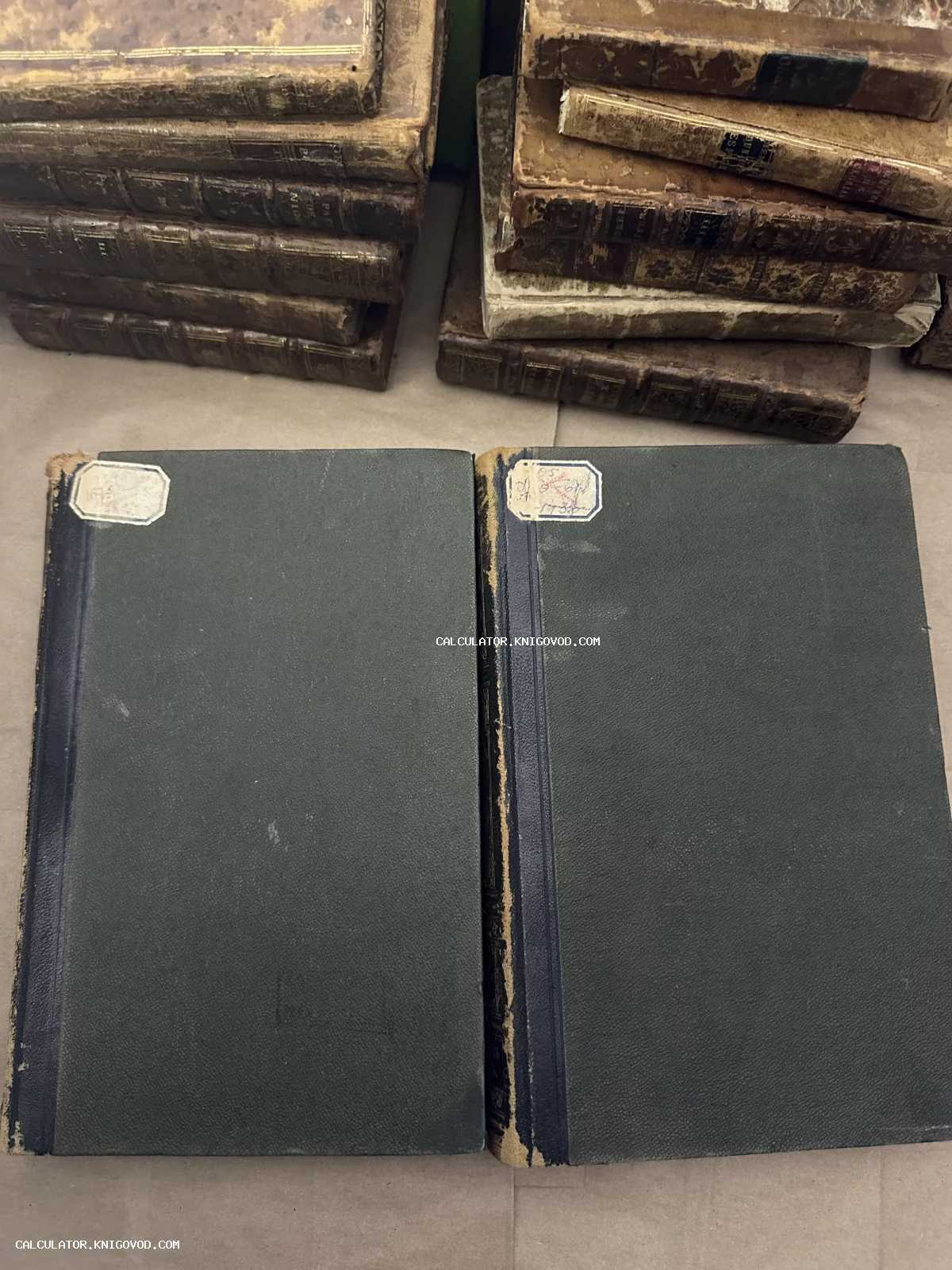 Стопки старинных книг с потертыми кожаными корешками и два темных тома с бумажными наклейками на переднем плане.