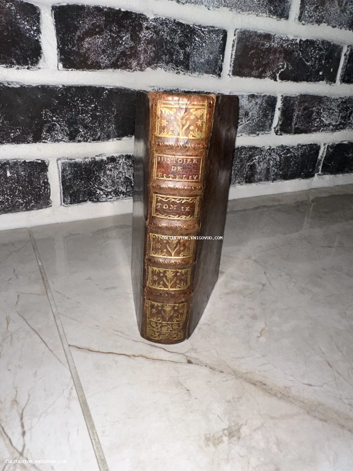 Корешок старинной французской книги XVIII века с золотым тиснением Histoire de Tite Liv, Том IX.