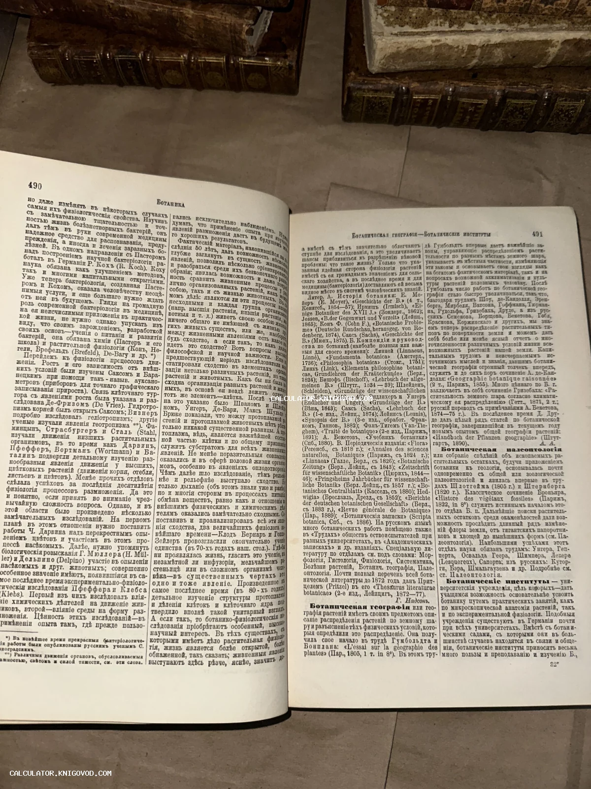 Раскрытая антикварная книга со статьями по ботанике на дореволюционном русском языке, страницы 490 и 491.