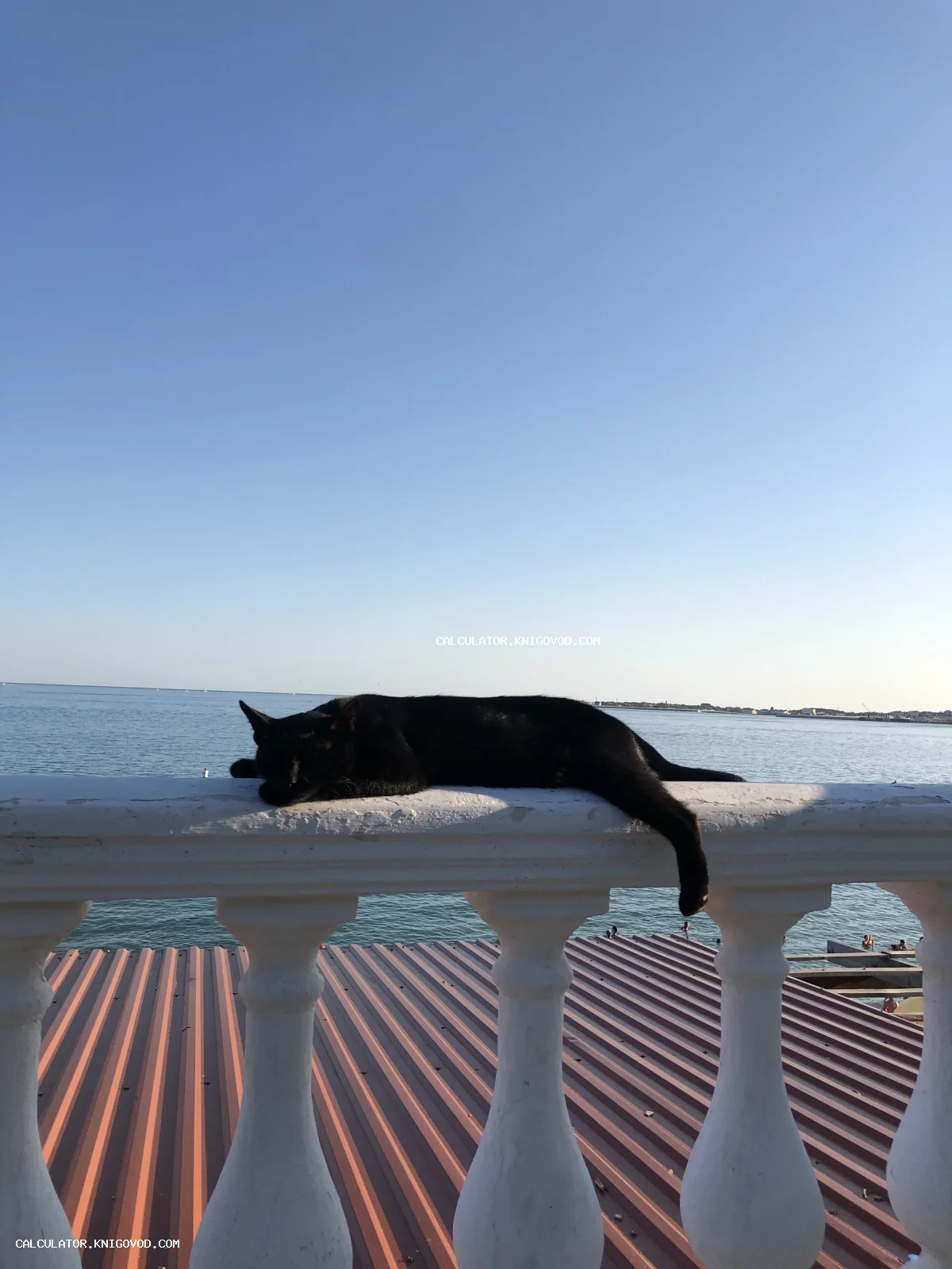 Черный кот спит на белых каменных перилах балюстрады на фоне спокойного синего моря и чистого неба.
