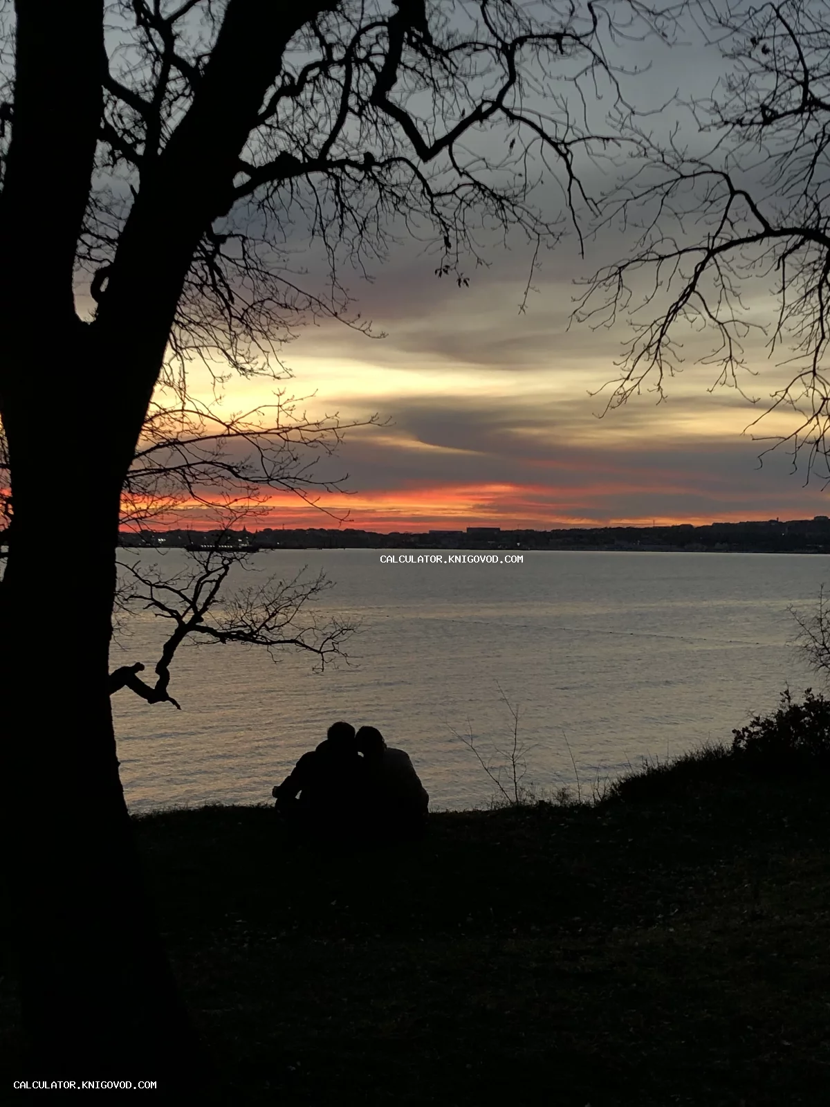 Силуэты влюбленной пары на холме у моря на фоне оранжевого заката и черных ветвей деревьев.