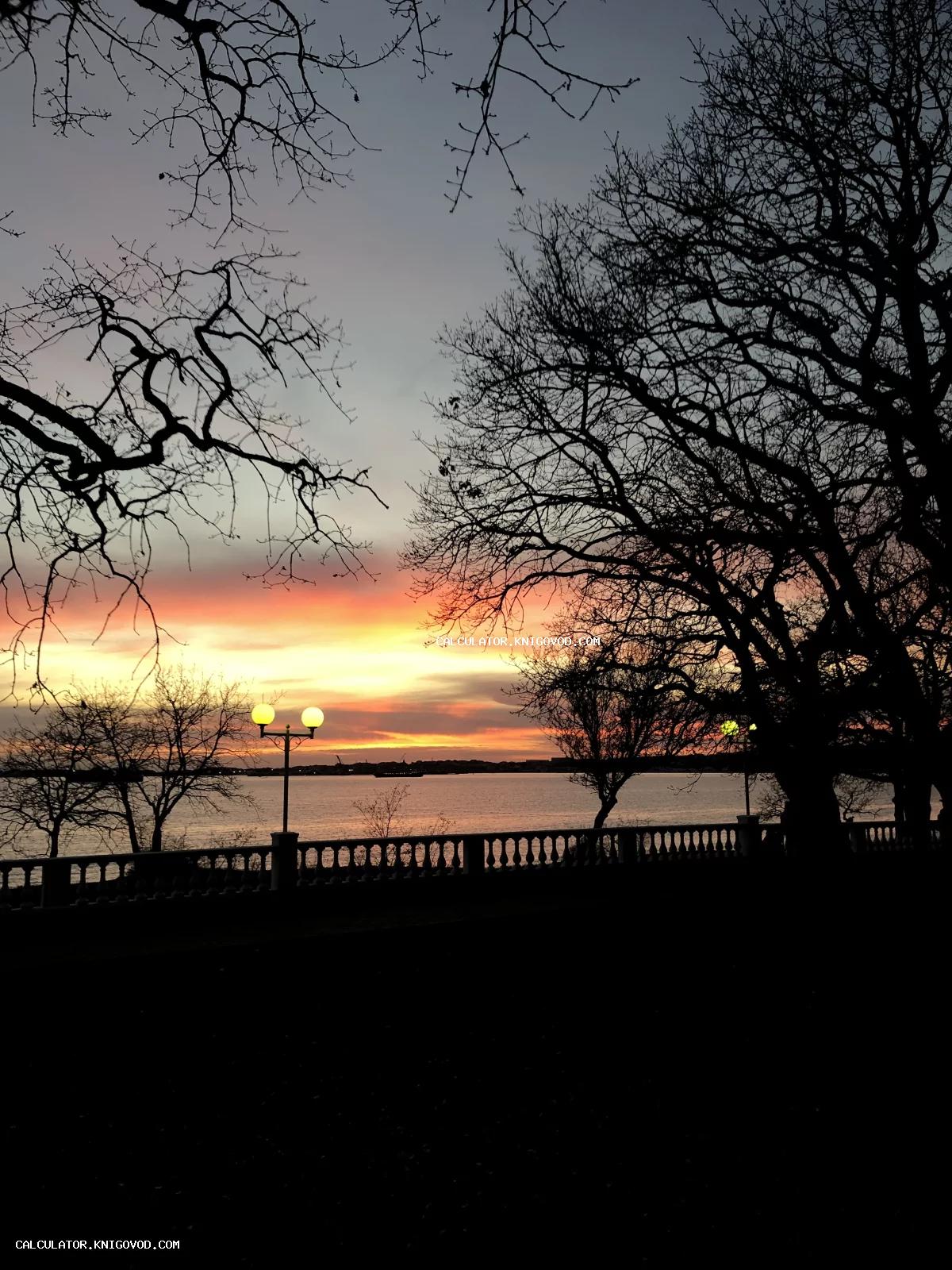 Силуэты деревьев и классической балюстрады на фоне оранжевого заката над рекой с включенными уличными фонарями.